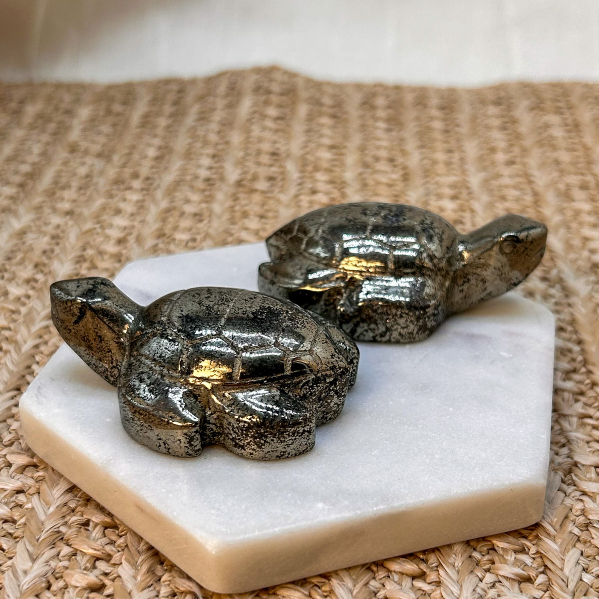 Pyrit Schildkröte