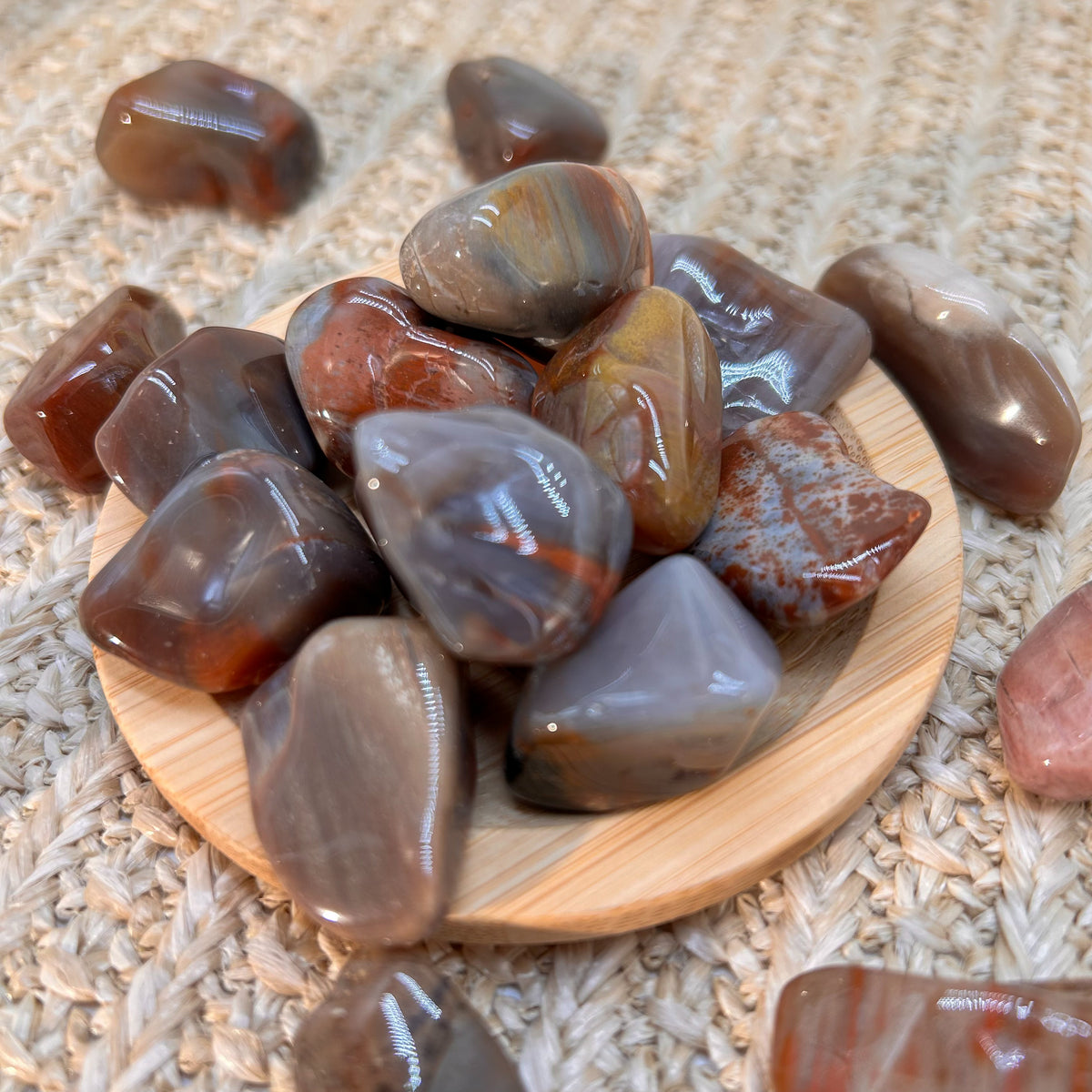 Versteinertes Holz Trommelstein