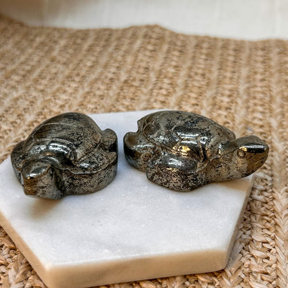 Pyrit Schildkröte