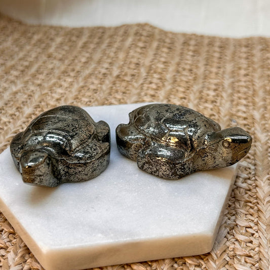 Pyrit Schildkröte