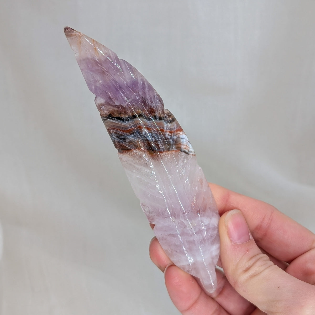 Crazy Lace / Amethyst Feder [F]