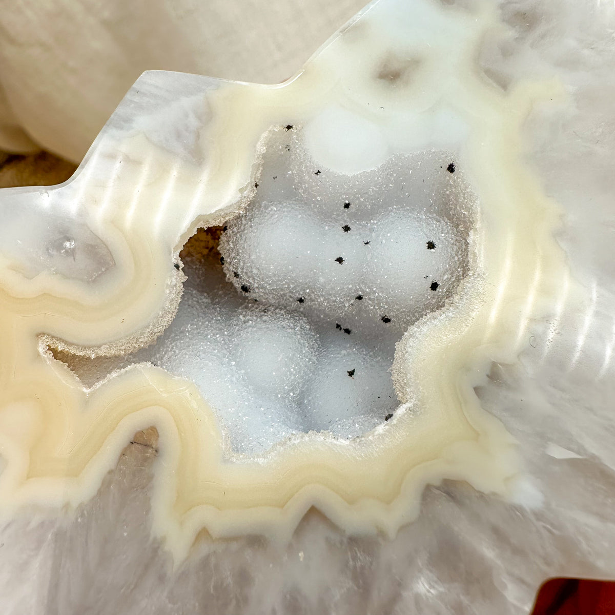 funkelnder Druzy Achat Schmetterling