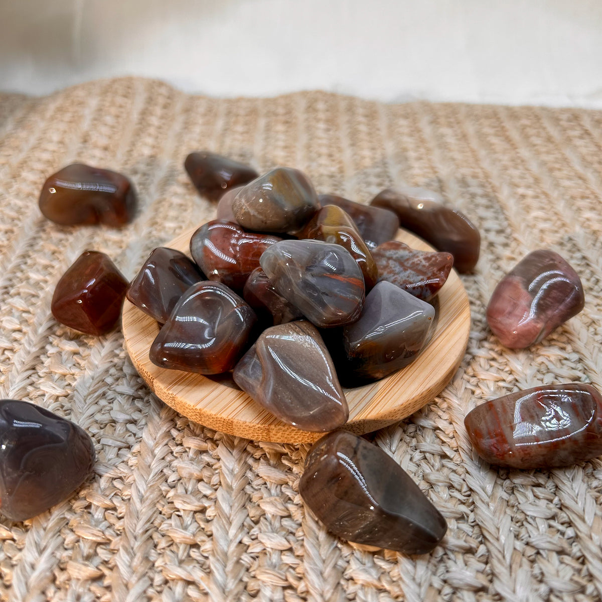 Versteinertes Holz Trommelstein