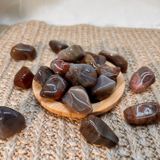 Versteinertes Holz Trommelstein