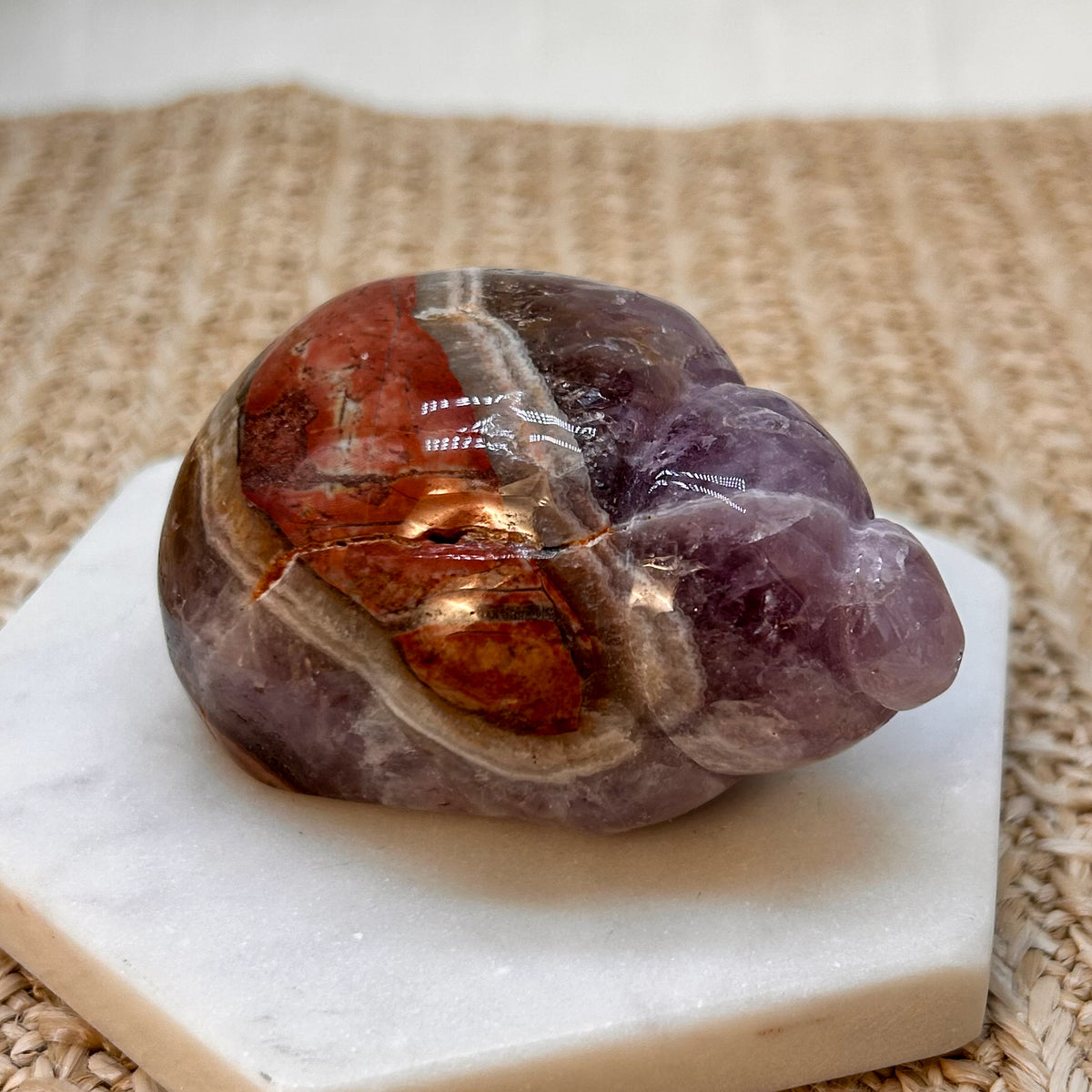 Amethyst Muschel mit mexikanischem Lace Achat