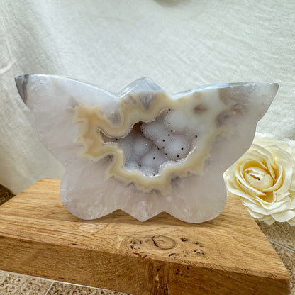 funkelnder Druzy Achat Schmetterling