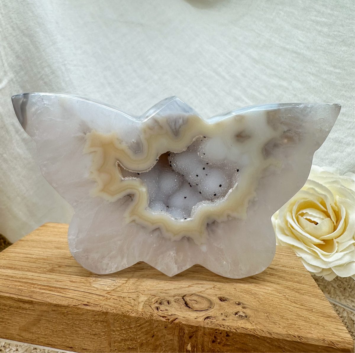 funkelnder Druzy Achat Schmetterling
