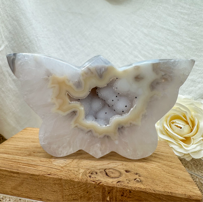 funkelnder Druzy Achat Schmetterling