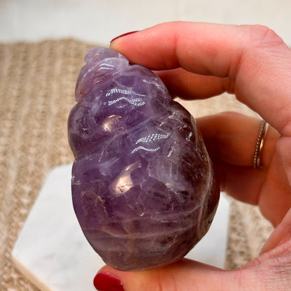 Amethyst Muschel mit mexikanischem Lace Achat