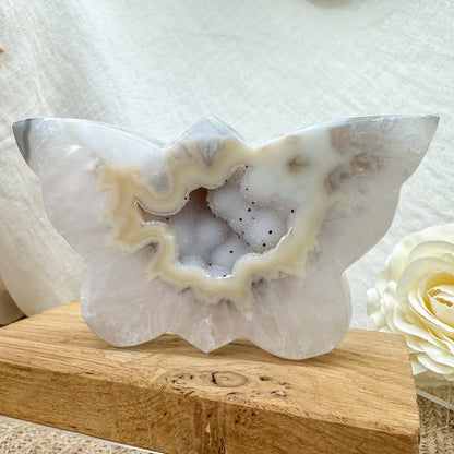 funkelnder Druzy Achat Schmetterling