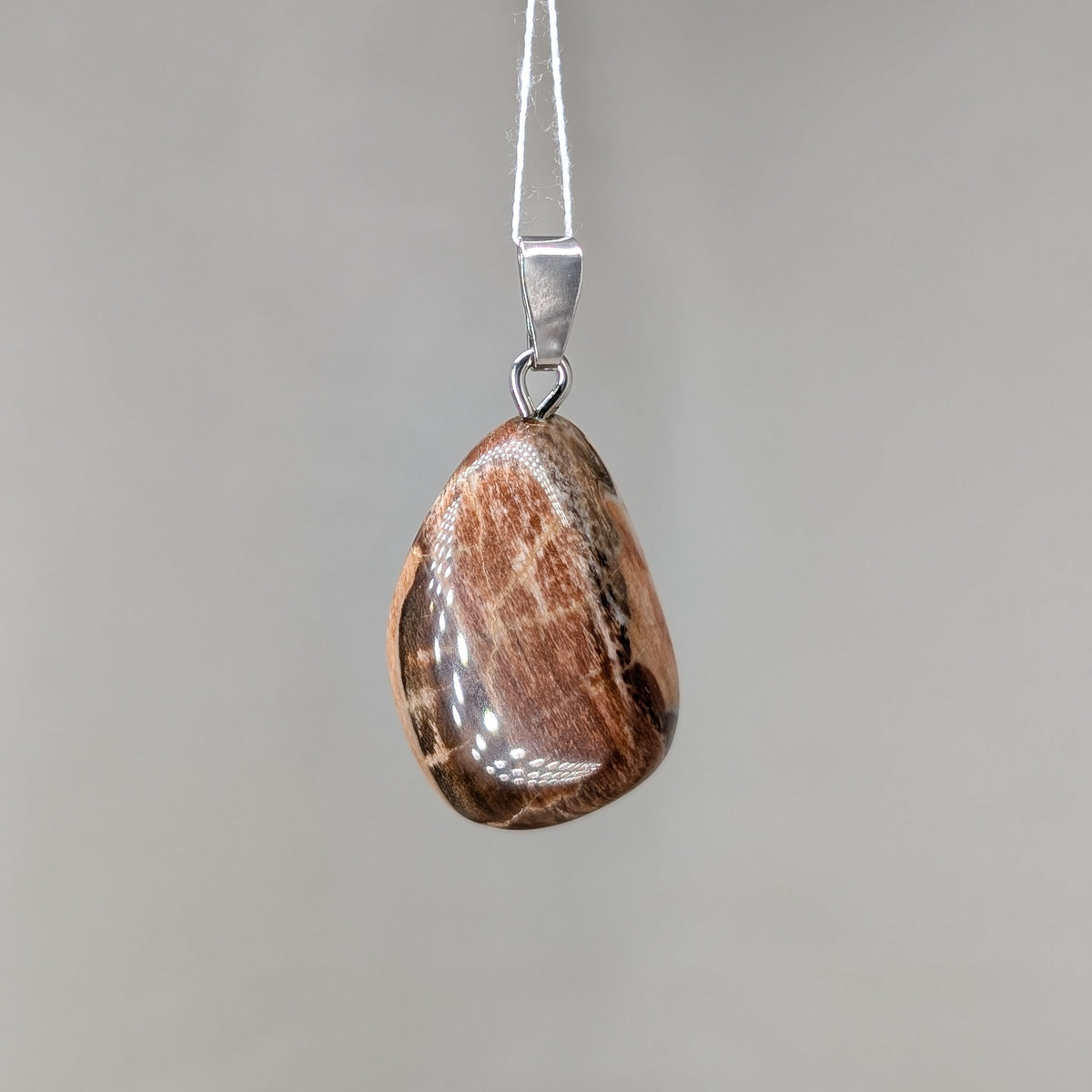 Versteinertes Holz Kettenanhänger, Silber [Z]