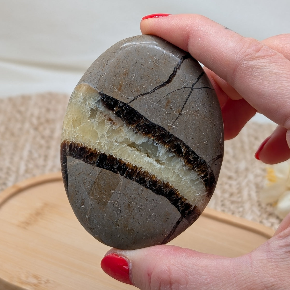 Großer Druzy Septarien Handstein [R]