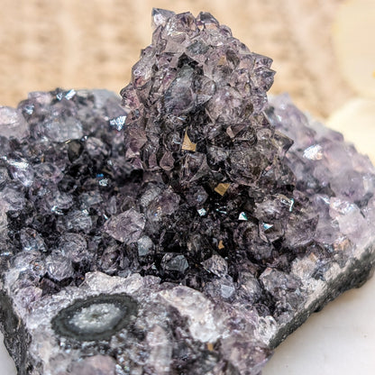 Amethyst Cluster / Freiform [SP]