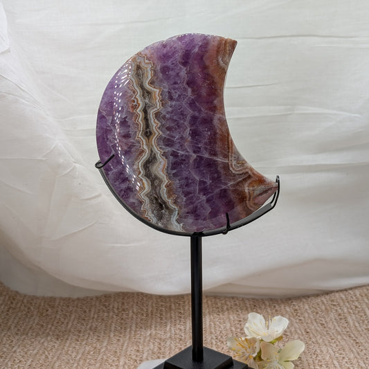 XL Crazy Lace mit Amethyst Mond auf Ständer [CW]