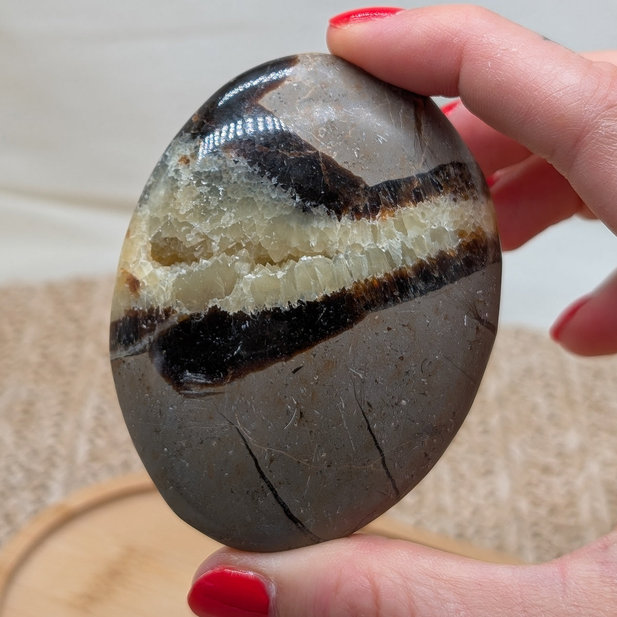 Großer Druzy Septarien Handstein [R]