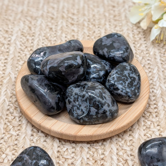 Gabbro Trommelstein
