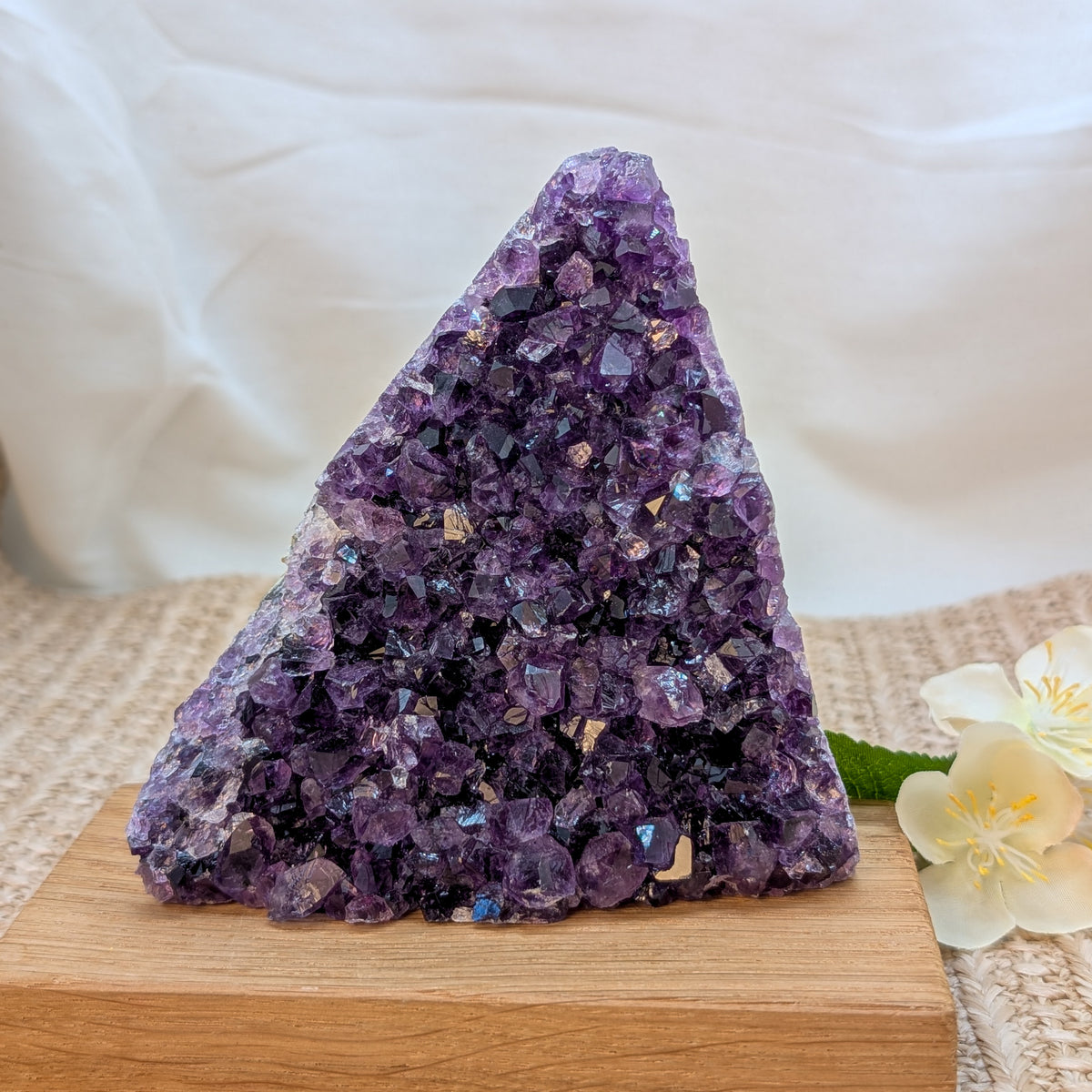 Dunkles Amethyst Cluster / Freiform [X3]