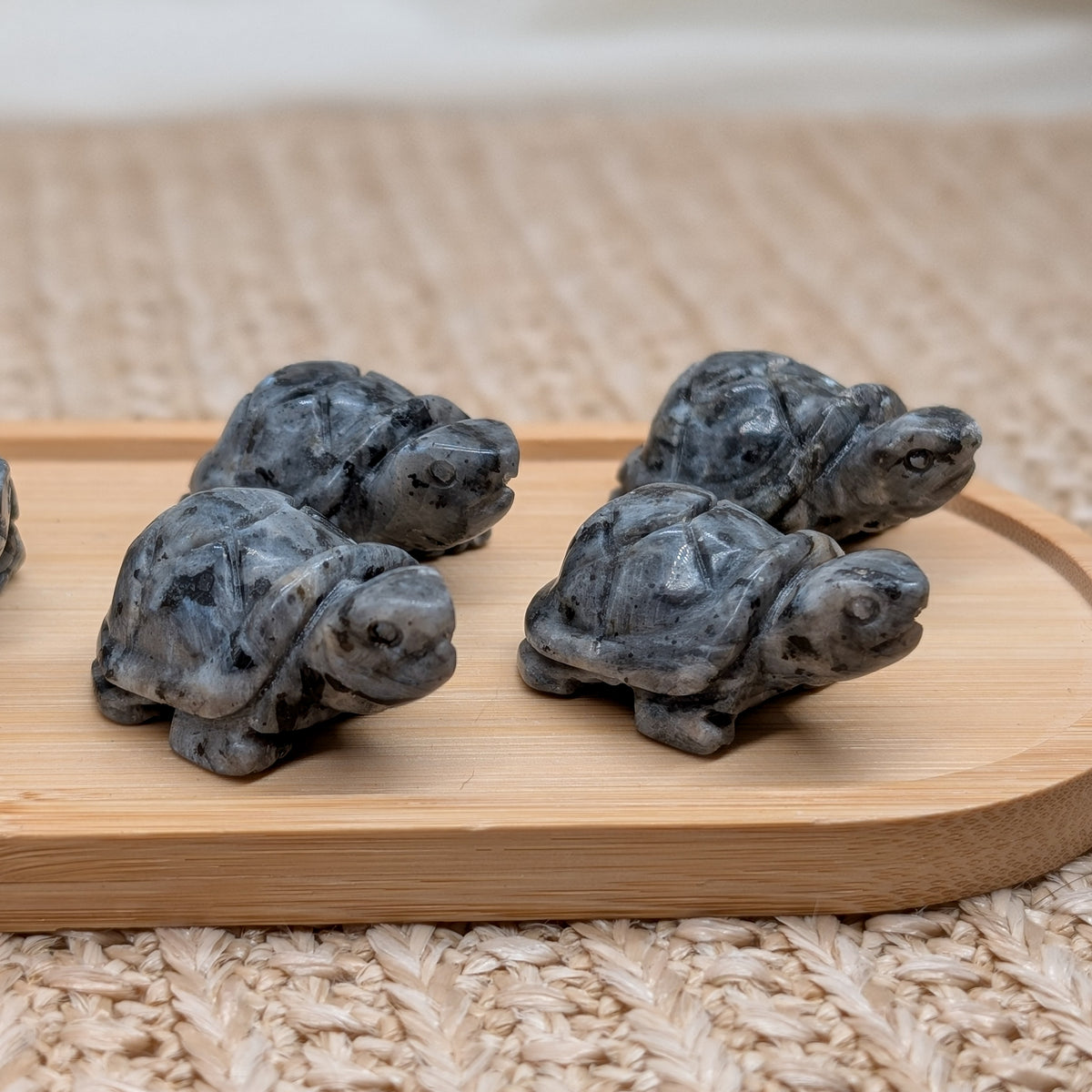 Larvikit Schildkröte