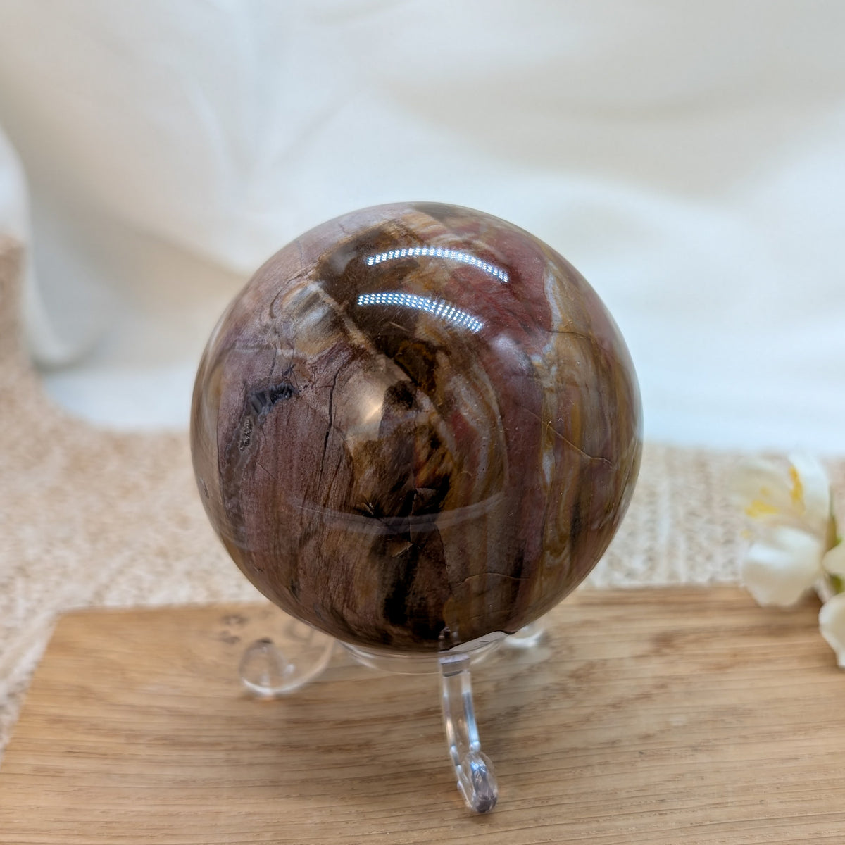 Versteinertes Holz Kugel [VC]