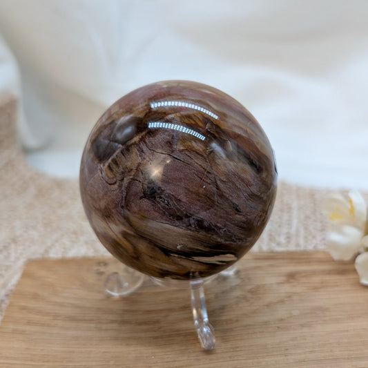 Versteinertes Holz Kugel [VC]