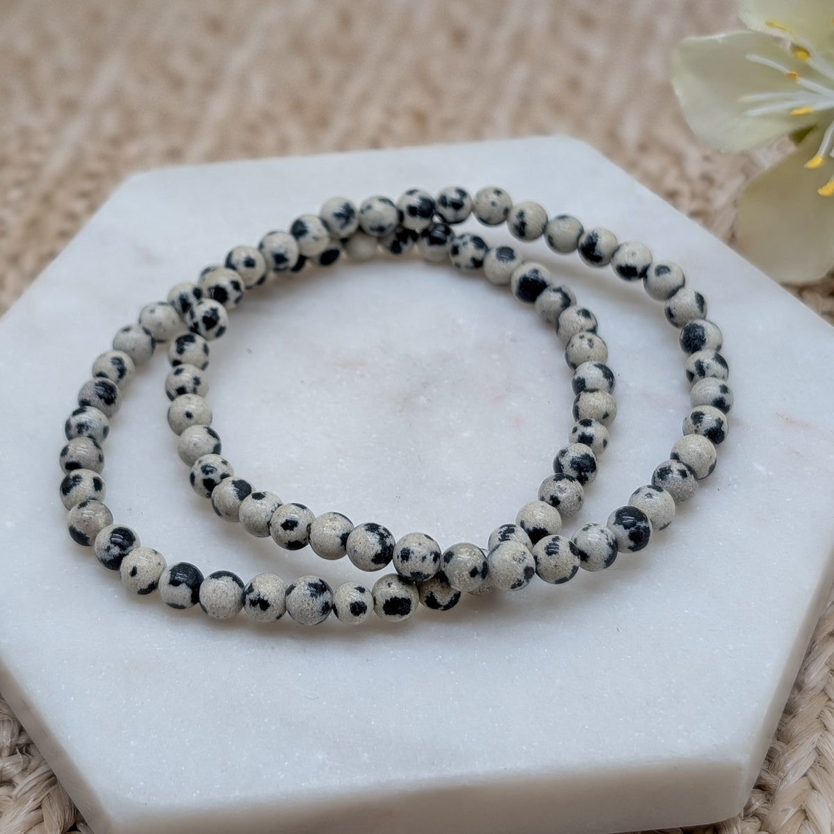 Dalmatinerjaspis Armband 4 mm