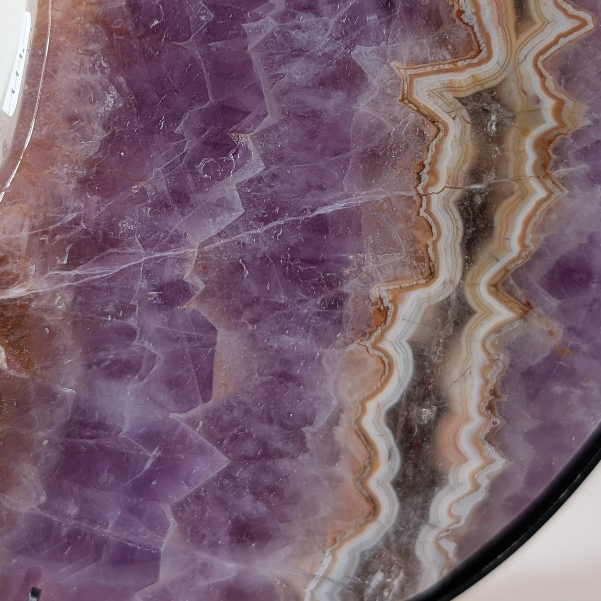 XL Crazy Lace mit Amethyst Mond auf Ständer [CW]