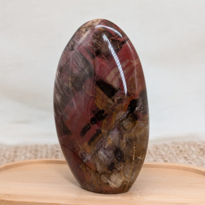 Versteinertes Holz Freiform [E]