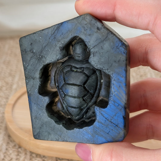 Flashy Labradorit Schildkröte [V]