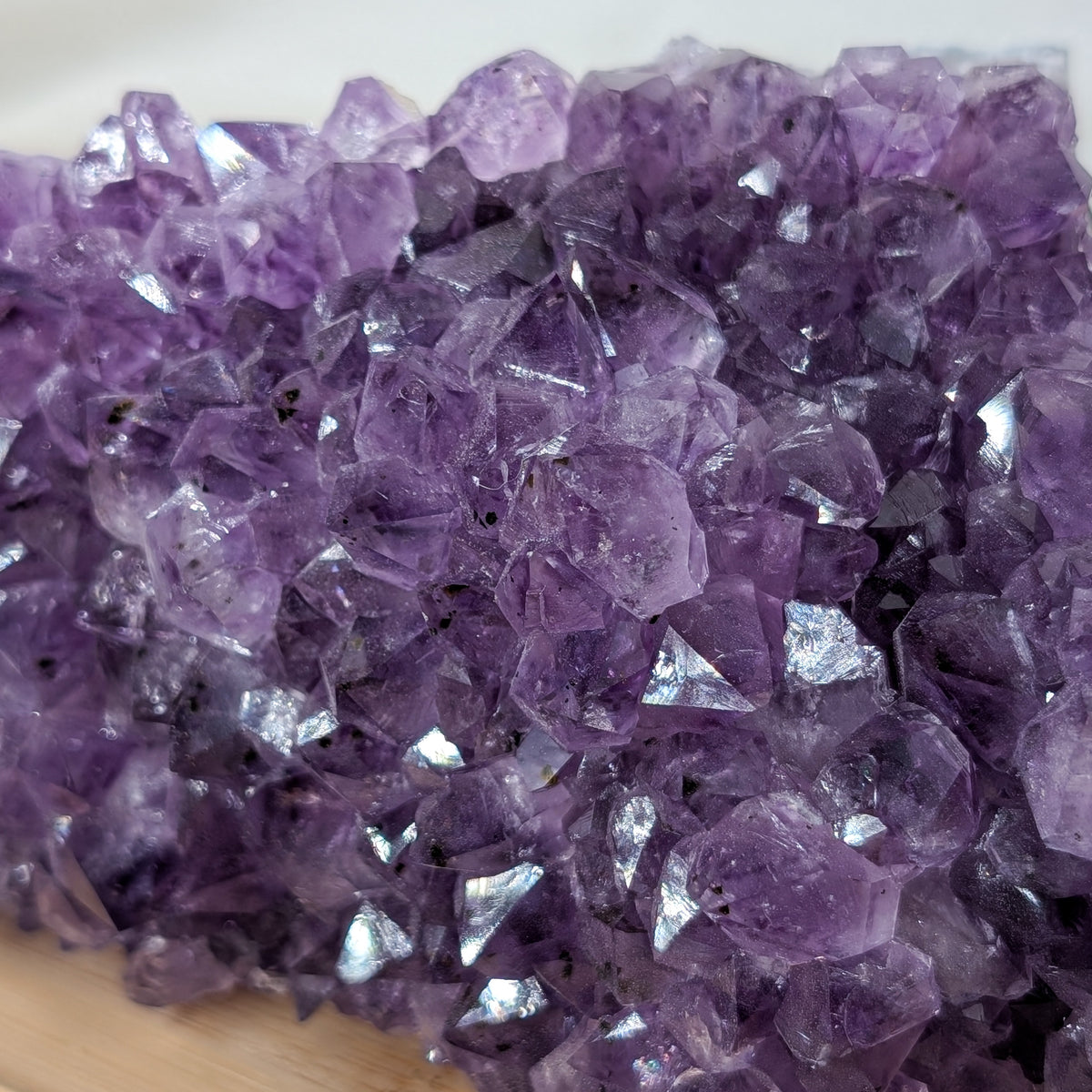 Amethyst Cluster [SG]