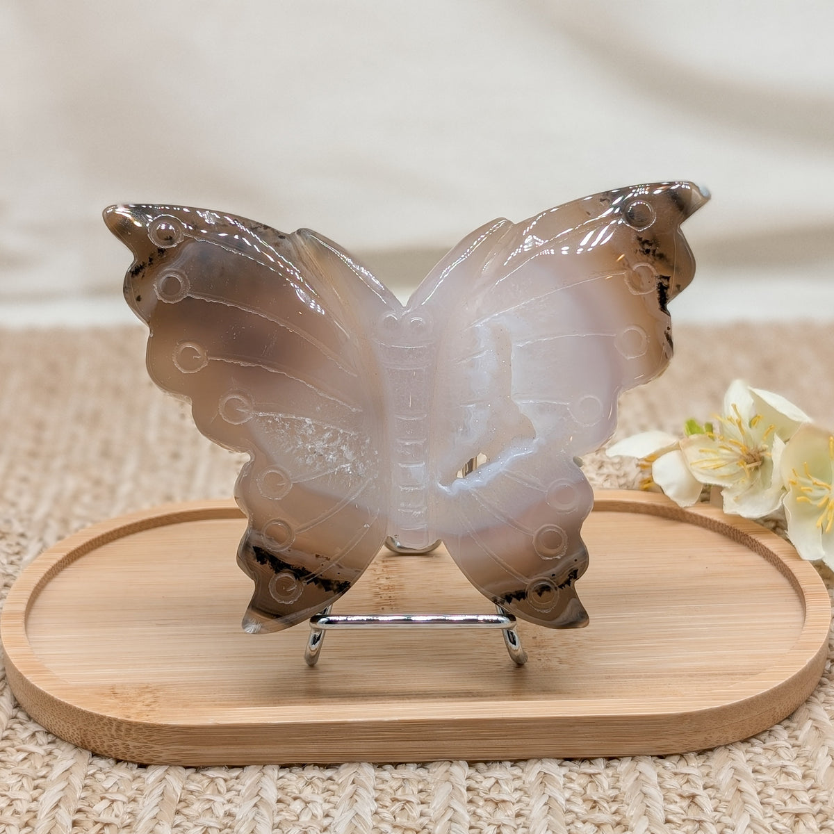 Druzy Achat Schmetterling mit Dendriten auf Ständer [JJ]