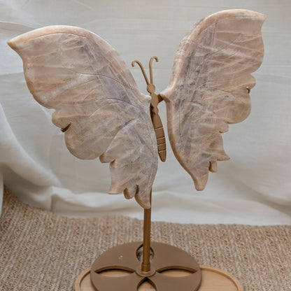 XL Mondstein Schmetterling auf Ständer [MX]